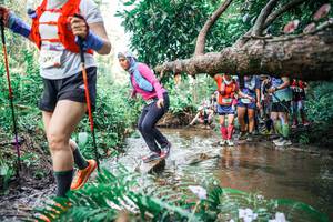 BIB: 
                            <button type="button" onclick="openModal(25514288)" class="btn btn-primary btn-sm float-right btn-popup" data-toggle="modal" data-target=".modal-high-quality">
                        <i class="fas fa-shopping-cart"></i> Add to Cart
                    </button>
                                            <button type="button" onclick="isThisMe(25514288, true)" class="btn btn-success btn-sm float-right btn-popup btn-isme hidden" data-toggle="tooltip" data-placement="bottom" title="นี่คือรูปของคุณใช่ไหม คลิกที่นี่เพื่อเอาเข้าอัลบั้ม">
                        <i class="fas fa-plus"></i> Add to album
                    </button>
                    <button type="button" onclick="isThisMe(25514288, false)" class="btn btn-warning btn-sm float-right btn-popup btn-isnotme hidden">
                        <i class="fas fa-ban"></i> Remove from album
                    </button>